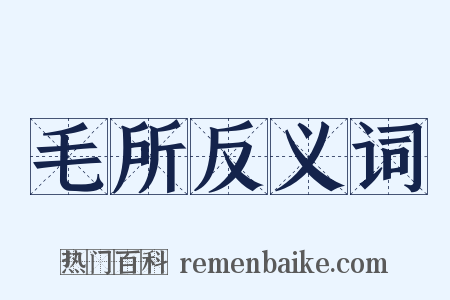 毛所反义词是什么意思的图片